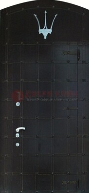 Металлическая арочная дверь ДА-22 высокого качества в Долгопрудном