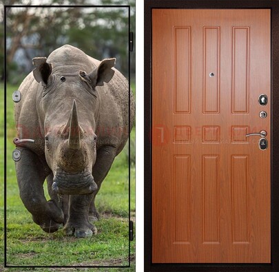 Металлическая дверь с фотопечатью носорога ДФ-31 в Долгопрудном